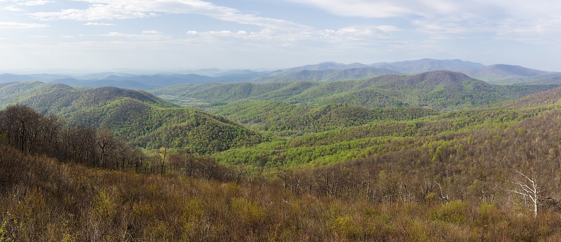 Forested mountain ridges in the Shenandoah Valley and Blue Ridge region